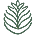 Icone Pineabayah - Vert sapin – couleur signature Icône vert sapin profond, couleur principale du logo Pineabayah