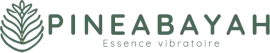 Logo long de PINEABAYAH avec typographie végétale et moderne, symbole de soins énergétiques, spiritualité et nature ressourçante