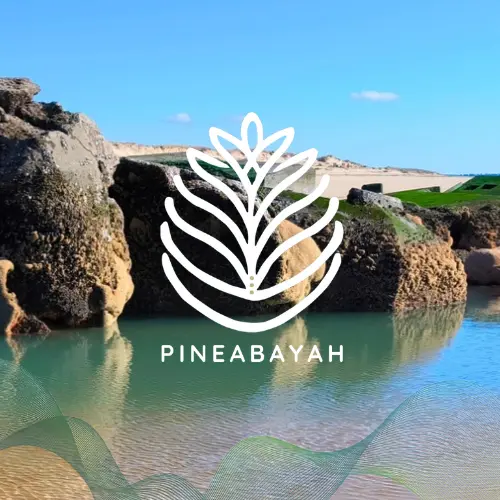 Sonothérapie – harmonisation énergétique par les fréquences chez Pineabayah