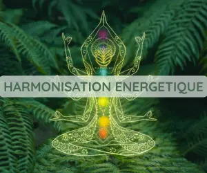HARMONISATION ENERGETIQUE HARMONISATION ENERGETIQUE