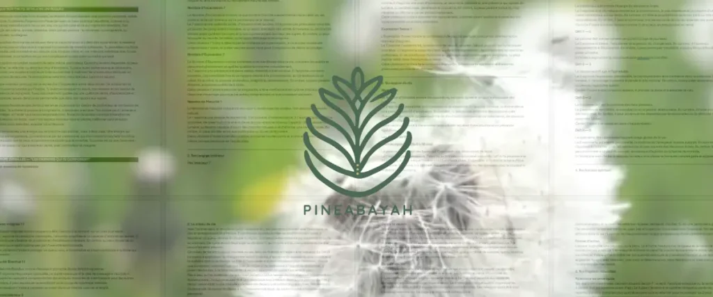 Numerologie Numérologie Pineabayah – approche énergétique et lecture vibratoire