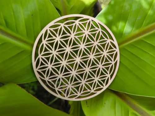 Fleur de Vie dorée sur feuilles vertes – symbole d’harmonisation énergétique Pineabayah