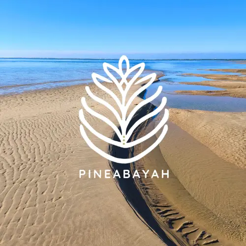 Circulation et ancrage – Massage énergétique Pineabayah Paysage du Bassin d’Arcachon illustrant la circulation du massage énergétique Pineabayah