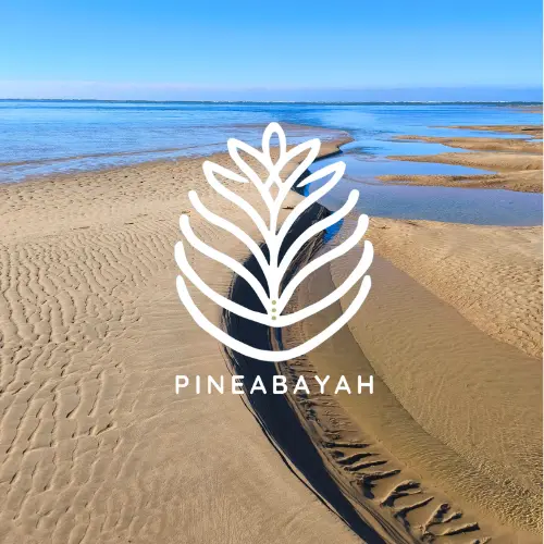 pineabayah-harmonisation-energetique-apometria-realignement Paysage de sable et d’eau formant des lignes fluides, illustrant le réalignement multidimensionnel de l’Apometria.