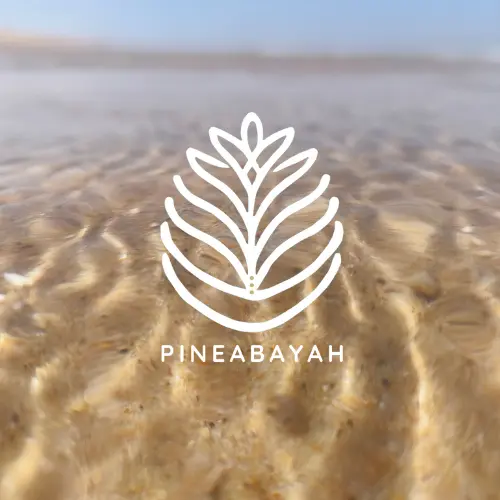 pineabayah-harmonisation-energetique-eau-vibrations Ondulations d’eau lumineuse avec le logo Pineabayah, symbolisant l’harmonisation énergétique et l’équilibre vibratoire.