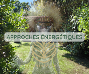 Approches-énergétique Contacter Pineabayah à Bordeaux ? | Pineabayah
