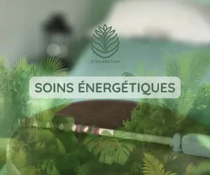 SOINS-ENERGETIQUES Contacter Pineabayah à Bordeaux ? | Pineabayah