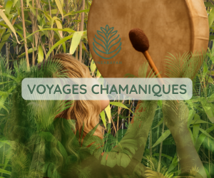 VOYAGES-CHAMANIQUES Contacter Pineabayah à Bordeaux ? | Pineabayah