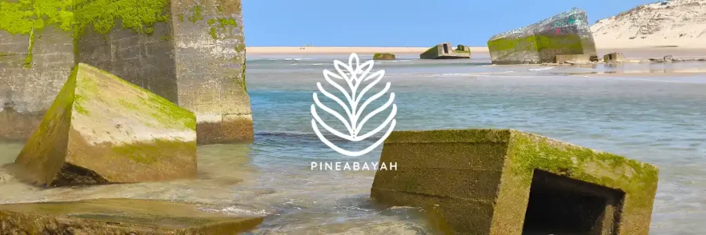 Soin vibratoire à Bordeaux Soin vibratoire à Bordeaux | Pineabayah