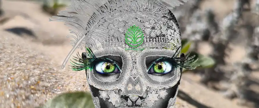 Visage symbolique avec troisième œil et regard vert – approches énergétiques et chamanisme Pineabayah
