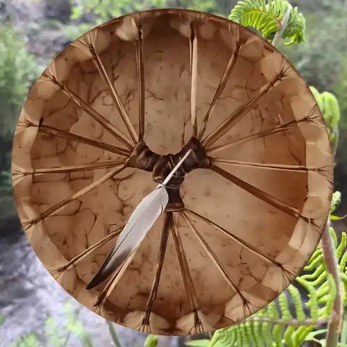 Arrière d’un tambour chamanique utilisé pour les voyages au tambour Pineabayah
