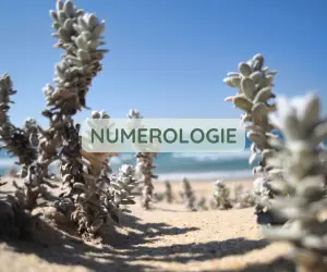 NUMEROLOGIE NUMEROLOGIE