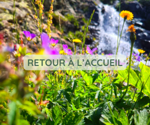 RETOUR À L’ACCUEIL Qui suis-je ? Pineabayah, mon parcours et sa symbolique | Pineabayah