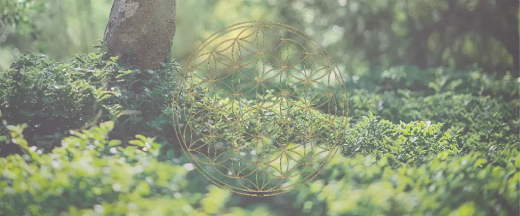 Apometria – approche énergétique multidimensionnelle Fleur de Vie dans la nature illustrant l’Apometria, approche énergétique multidimensionnelle