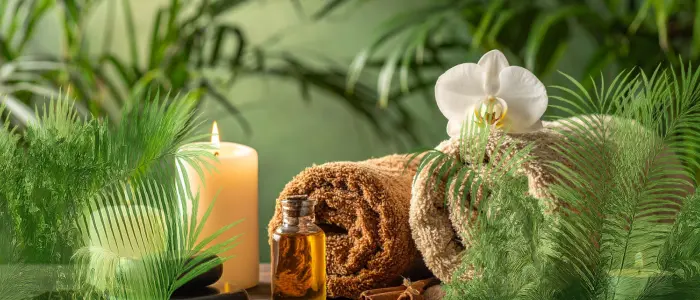 Massage énergétique à Bordeaux | Pineabayah