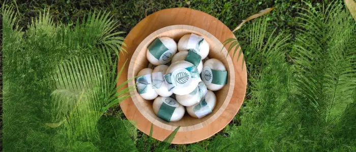 Savon Vibratoire Savon Vibratoire | Pineabayah