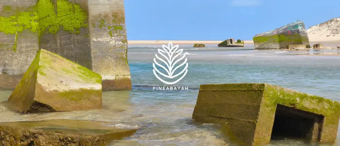 Soin vibratoire à Bordeaux | Pineabayah