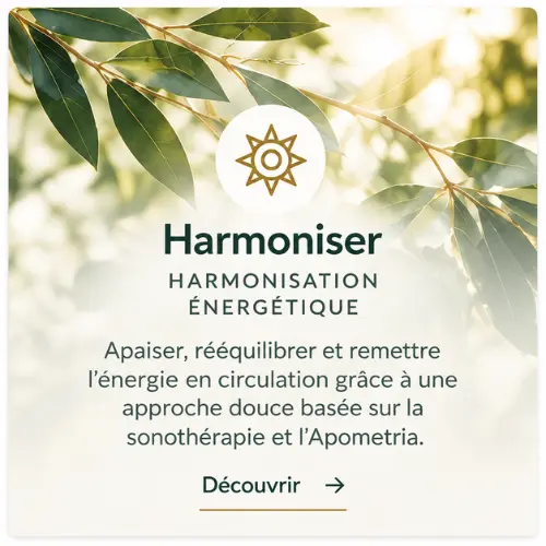 Harmonisation énergétique à Bordeaux | Pineabayah Harmonisation énergétique à Bordeaux – Pineabayah