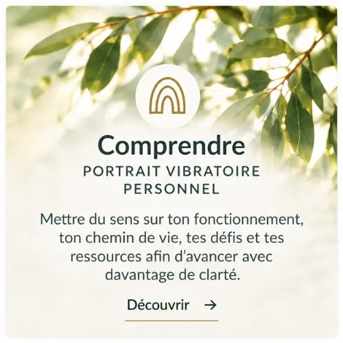 Portrait Vibratoire Personnel | Numérologie à Bordeaux Portrait Vibratoire Personnel – numérologie à Bordeaux